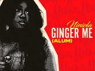 Niniola Ginger Me Alum
