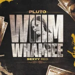 PLUTO Sexyy Red WHIM WHAMIEE Remix